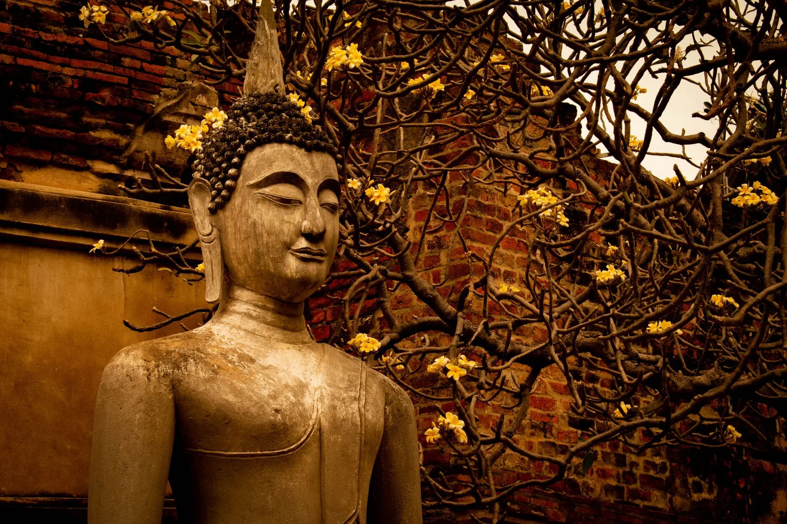 Angkor temples and countryside — Siem Reap